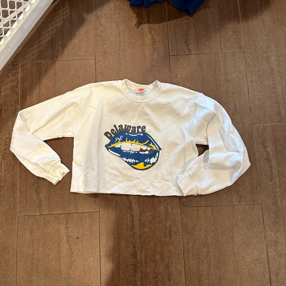 Lo+Jo University of Delaware cropped sweatshirt